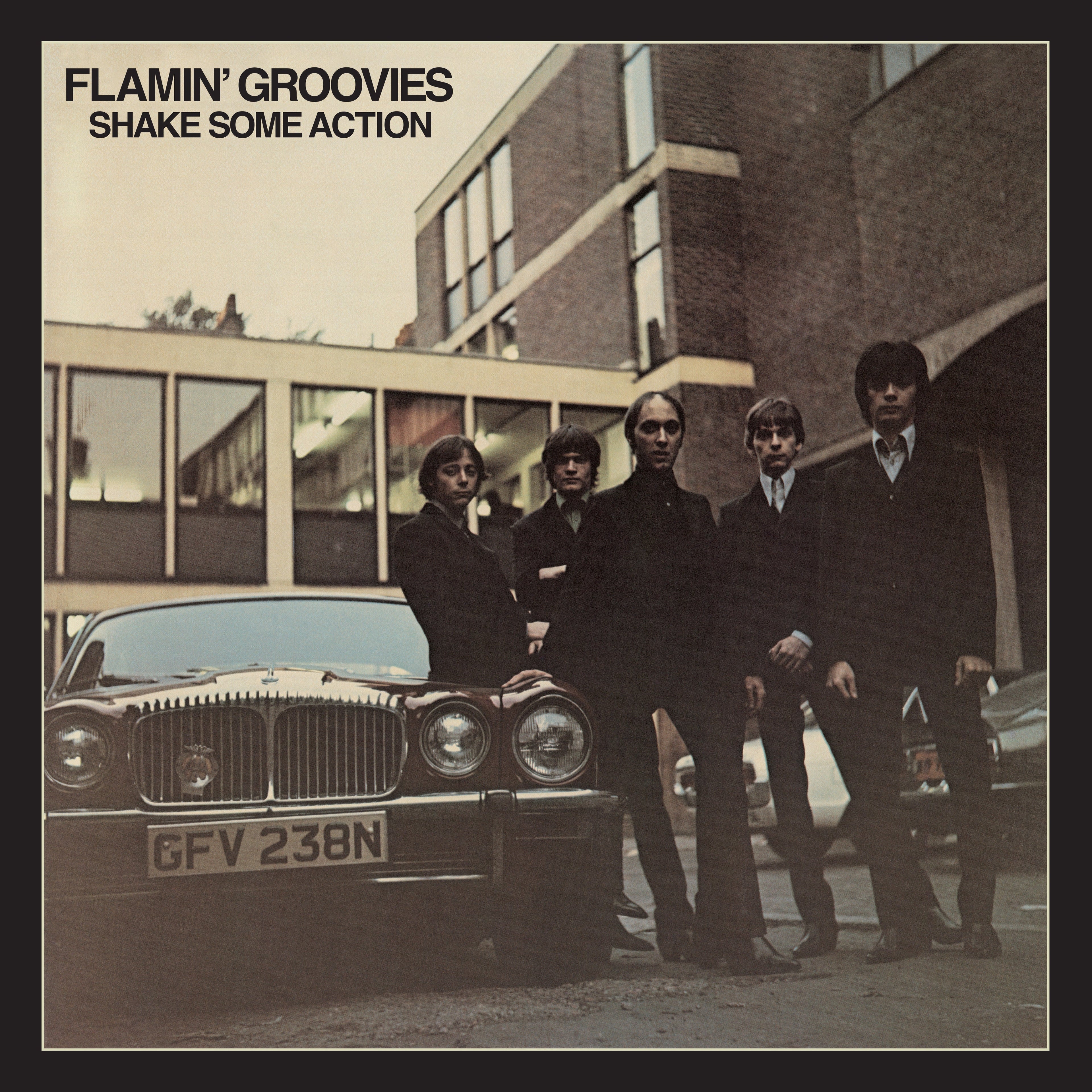 2LP - Flamin' Groovies - Shake Some Action