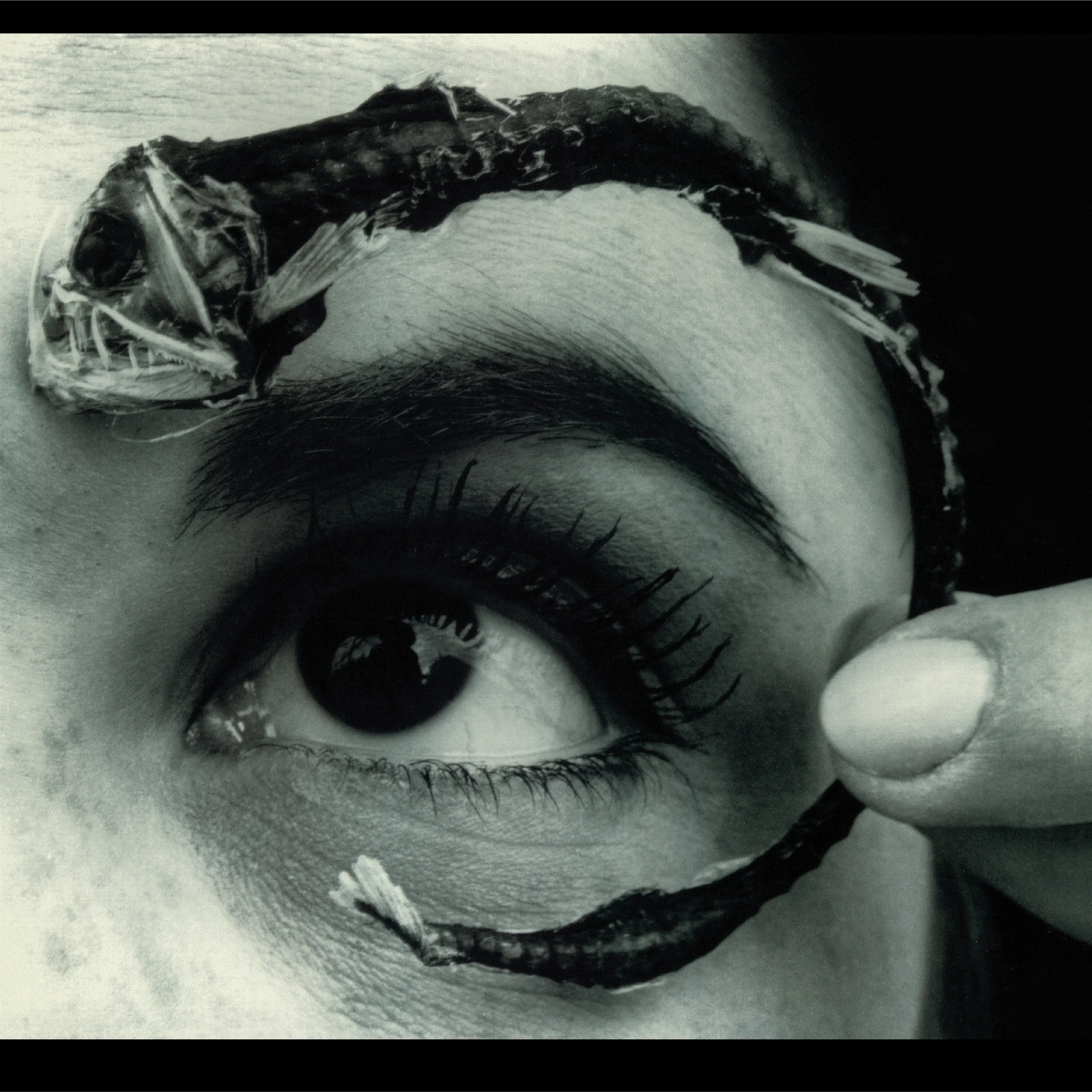 2LP - Mr. Bungle - Disco Volante