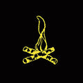LP - Frank Turner - Campfire Punkrock Twenty