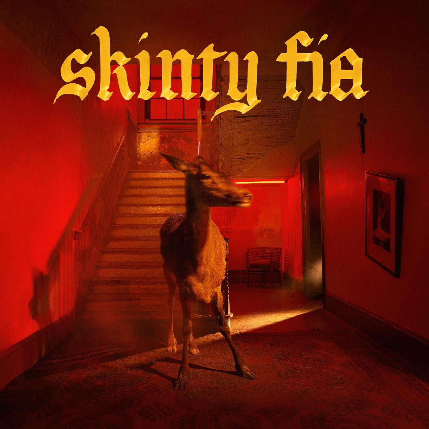 LP - Fontaines D.C. - Skinny Fia (Red)
