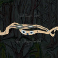 2LP- Animal Collective - Spirit They're Gone, Spirit They've Vanished