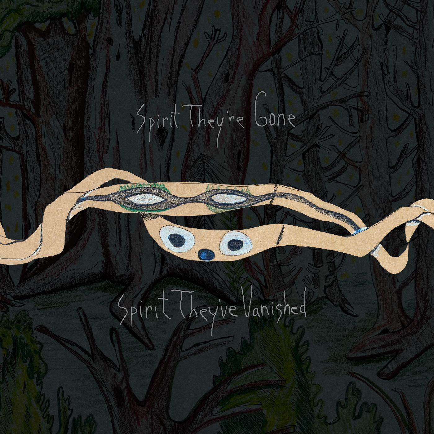 2LP- Animal Collective - Spirit They're Gone, Spirit They've Vanished