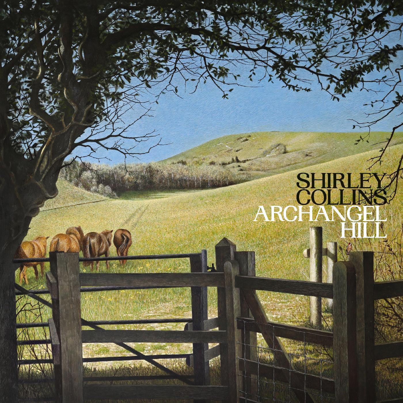 LP. - Shirley Collins - Archangel Hill