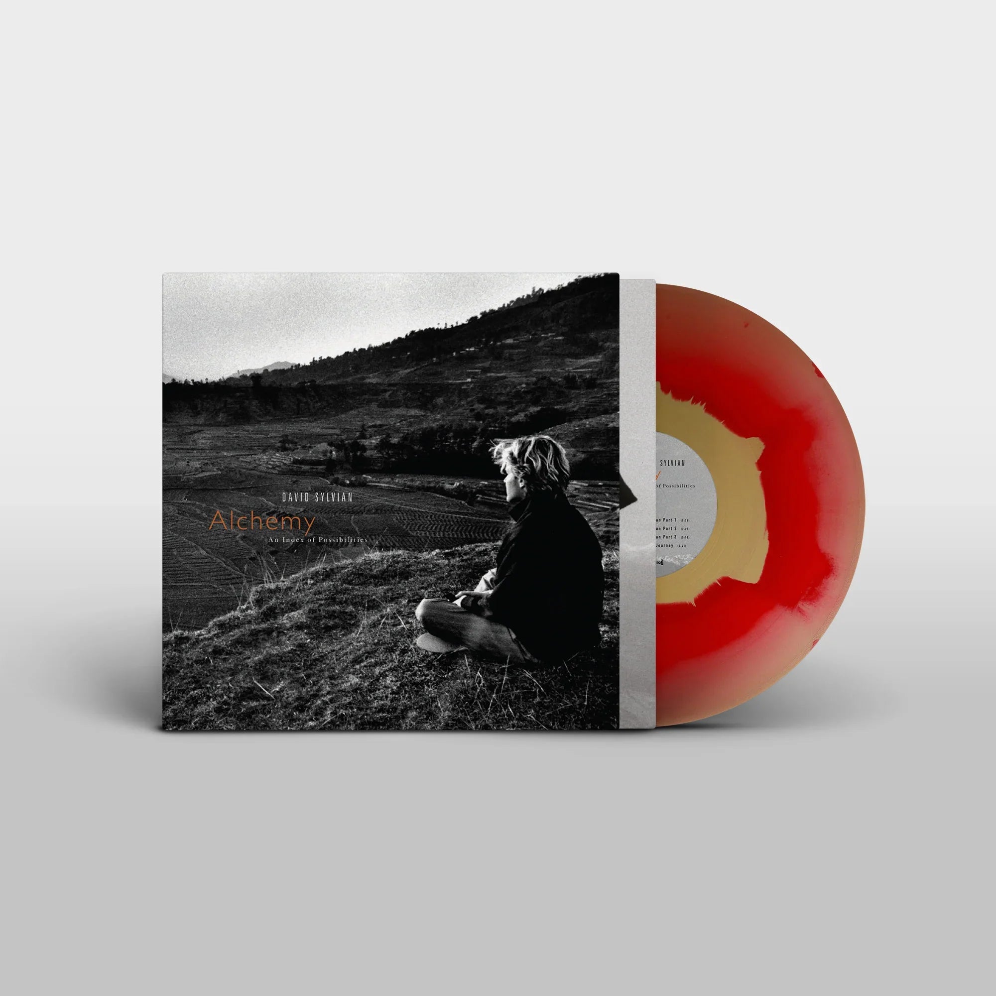 LP - David Sylvian -Alchemy: An Index Of Possibilities (2025)