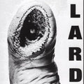 LP - Lard - The Power Of Lard