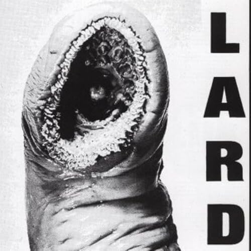 LP - Lard - The Power Of Lard