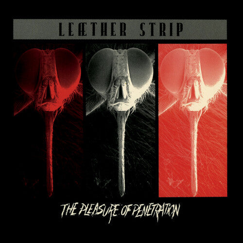 LP - Leather Strip -  The Pleasure Of Penetration