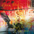 LP - Emma Pollock - Begging The Night To Take Hold