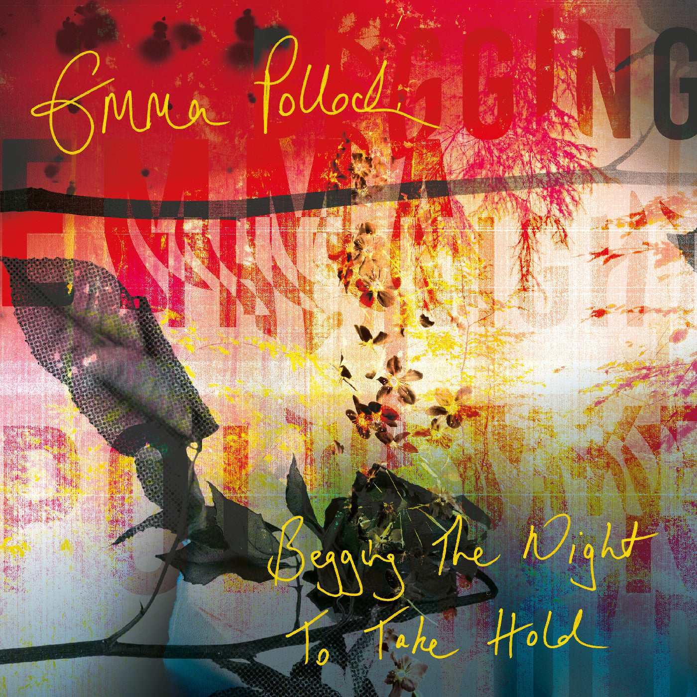 LP - Emma Pollock - Begging The Night To Take Hold