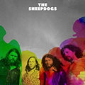 LP - Sheepdogs - Self-titled