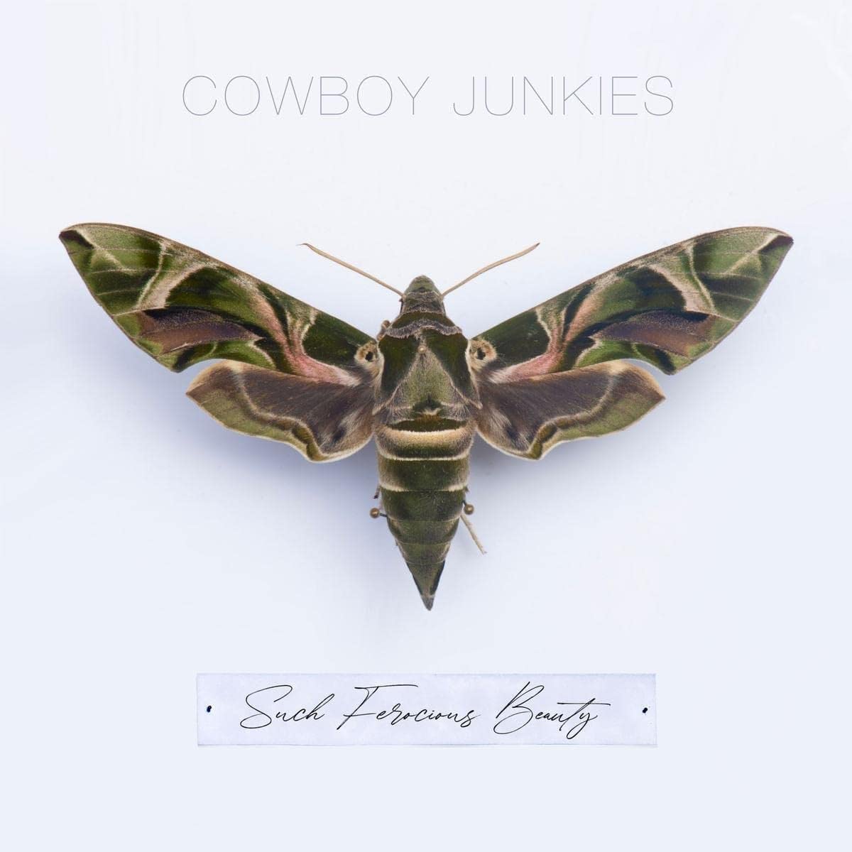LP - Cowboy Junkies - Such Ferocious Beauty