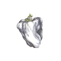 LP - Ween - White Pepper