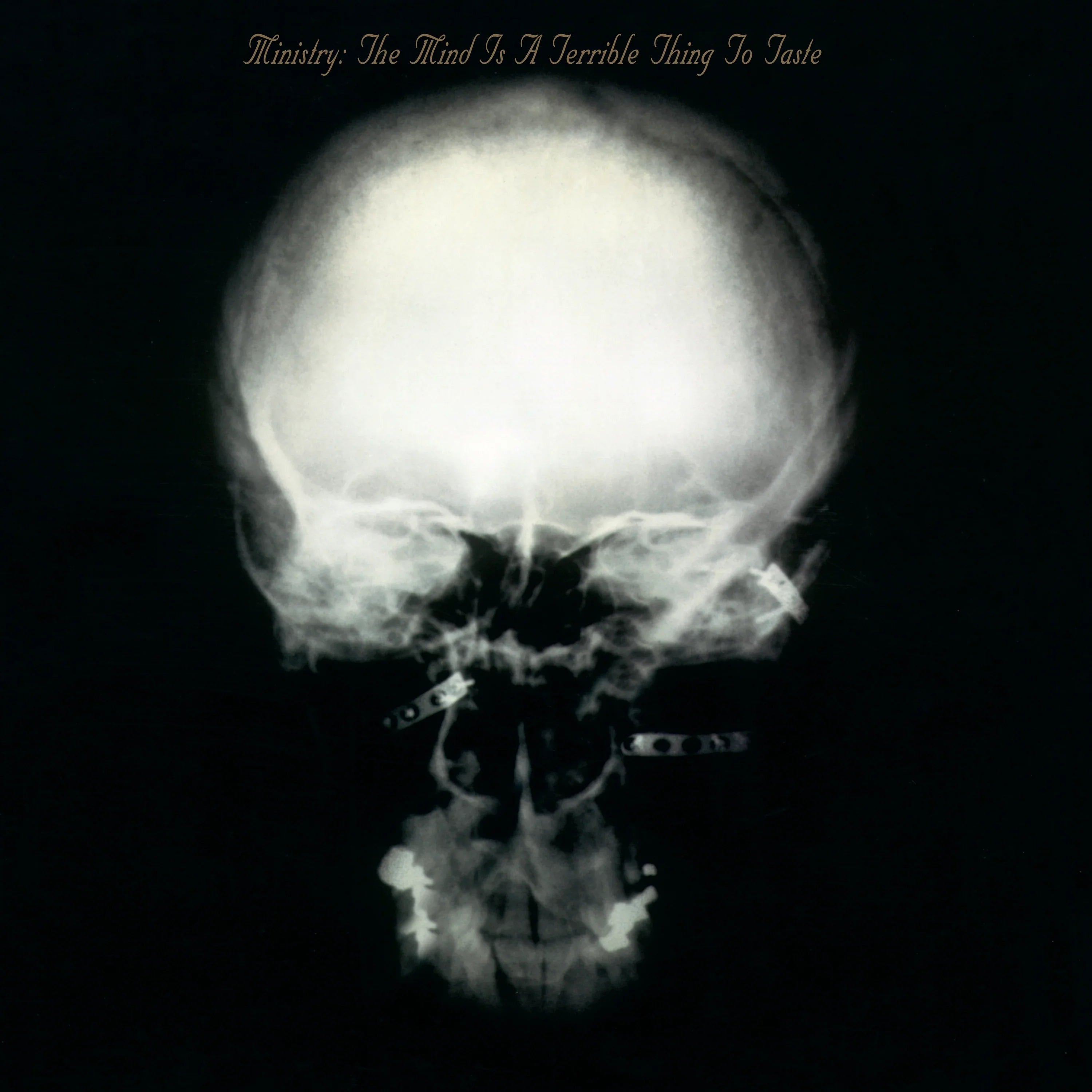 2LP - Ministry - The Mind Is a Terrible Thing To Taste (Expanded)