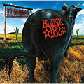 LP - Blink 182 - Dude Ranch