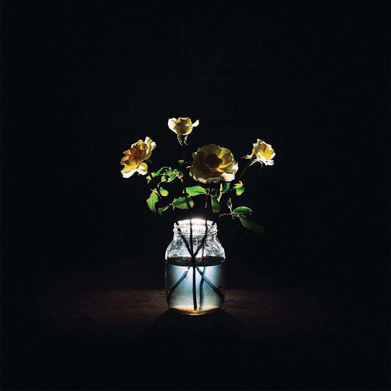 2LP - Billy Strings - Renewal