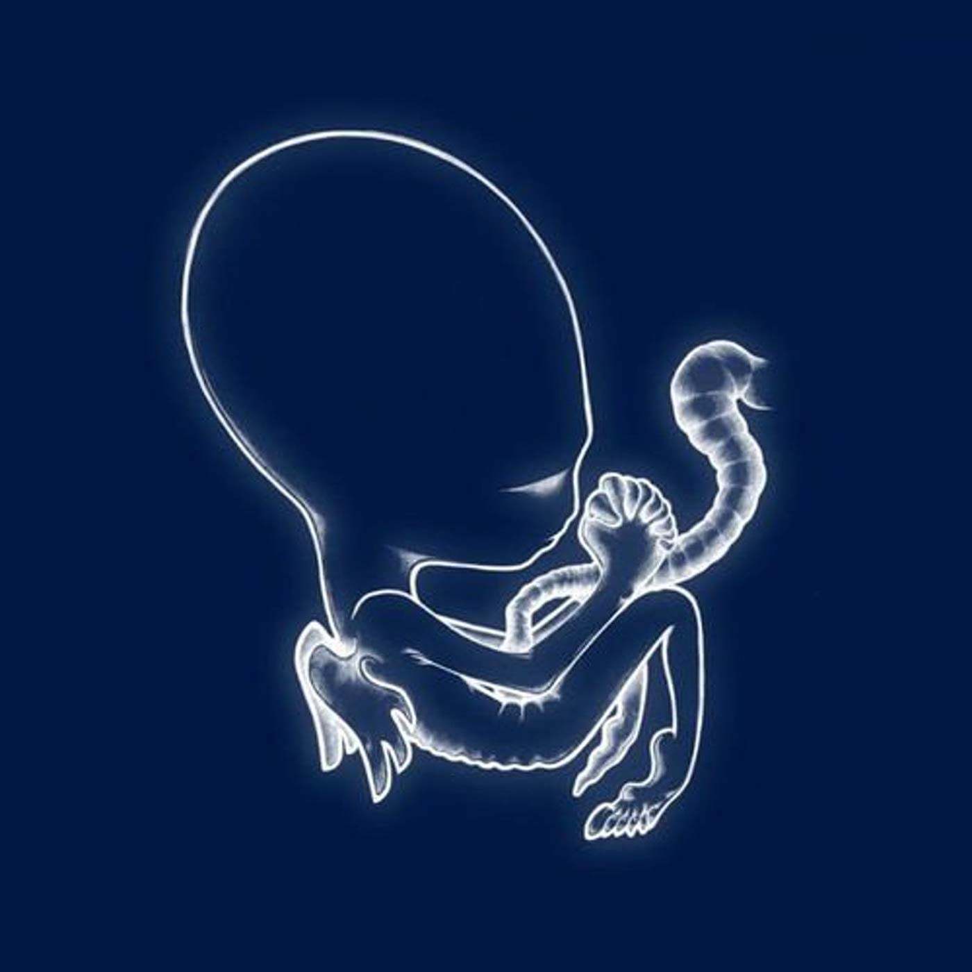 Sigur Ros - Agaetis Byrjun - 2LP