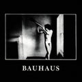 LP - Bauhaus - In The Flat Field
