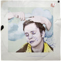 2LP - Jens Lekman - The Linden Trees Are Still In Blossom