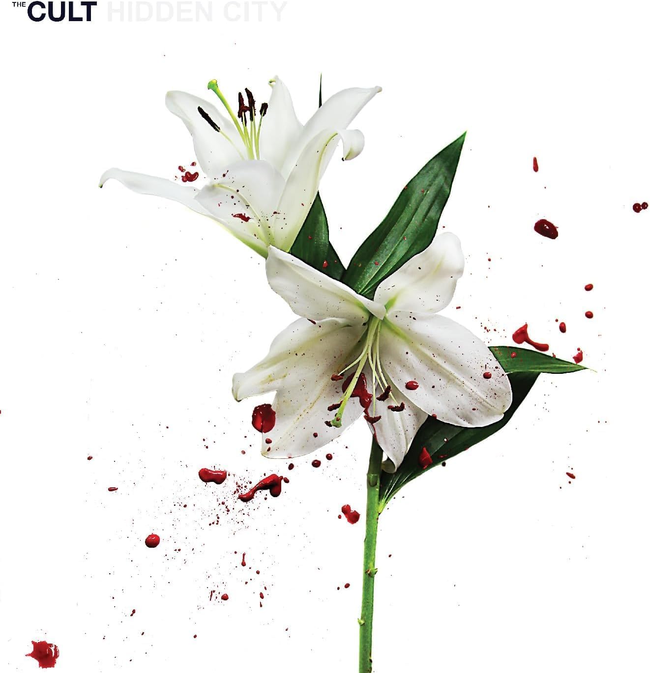 2LP - The Cult - Hidden City