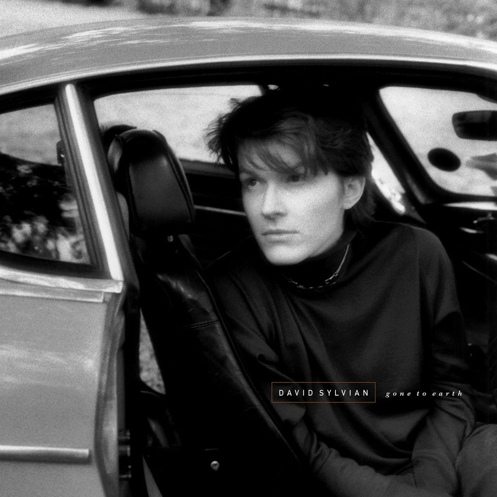 2LP - David Sylvian - Gone To Earth (2025)