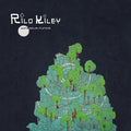 LP - Rilo Kiley - More Adventurous