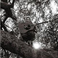 Ty Segall - "Hello, Hi" - LP
