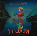 2LP - Bill Callahan - Reality