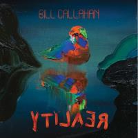 2LP - Bill Callahan - Reality