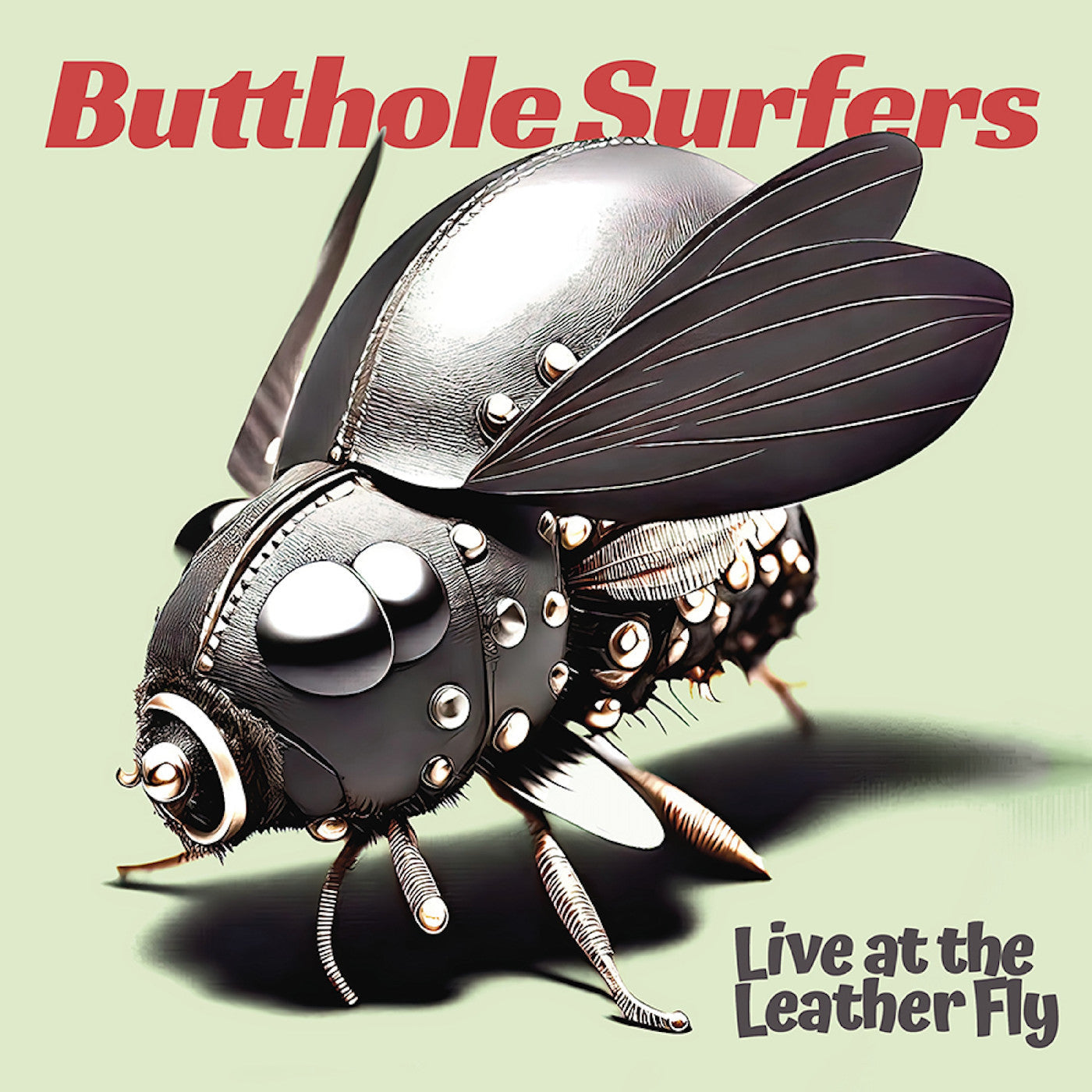 2LP - Butthole Surfers - Live At The Leather Fly