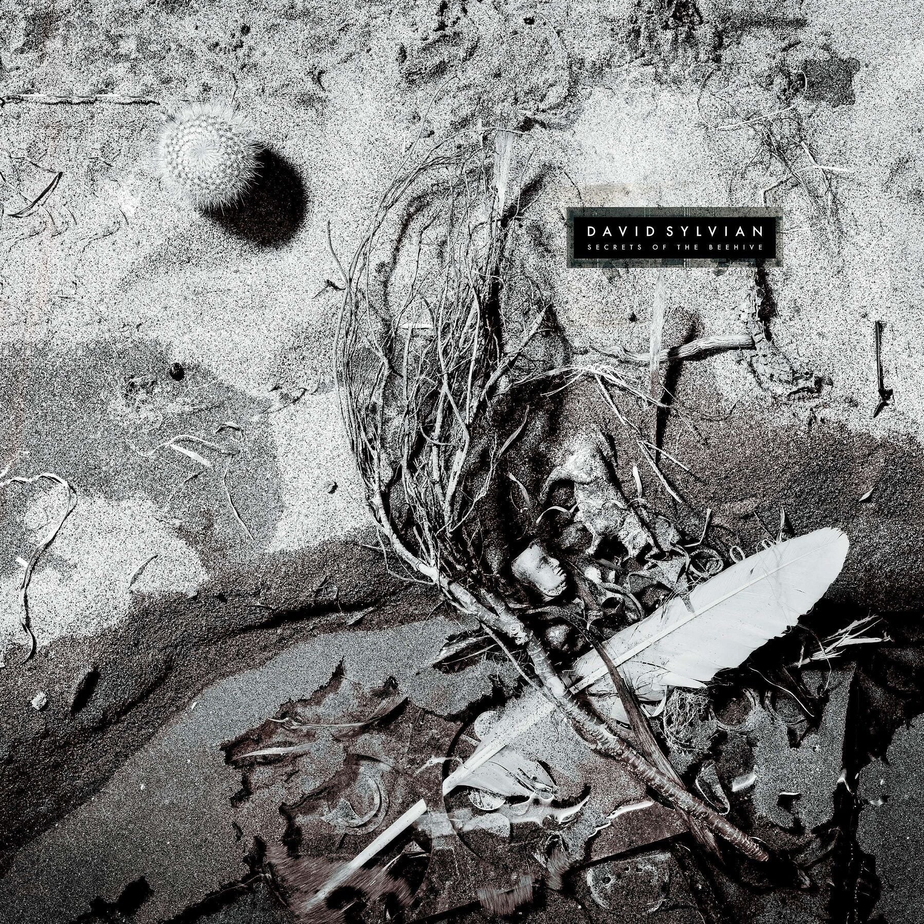 LP - David Sylvian - Secrets Of The Beehive (2025)