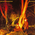 LP - Echo And The Bunnymen - Crocodiles