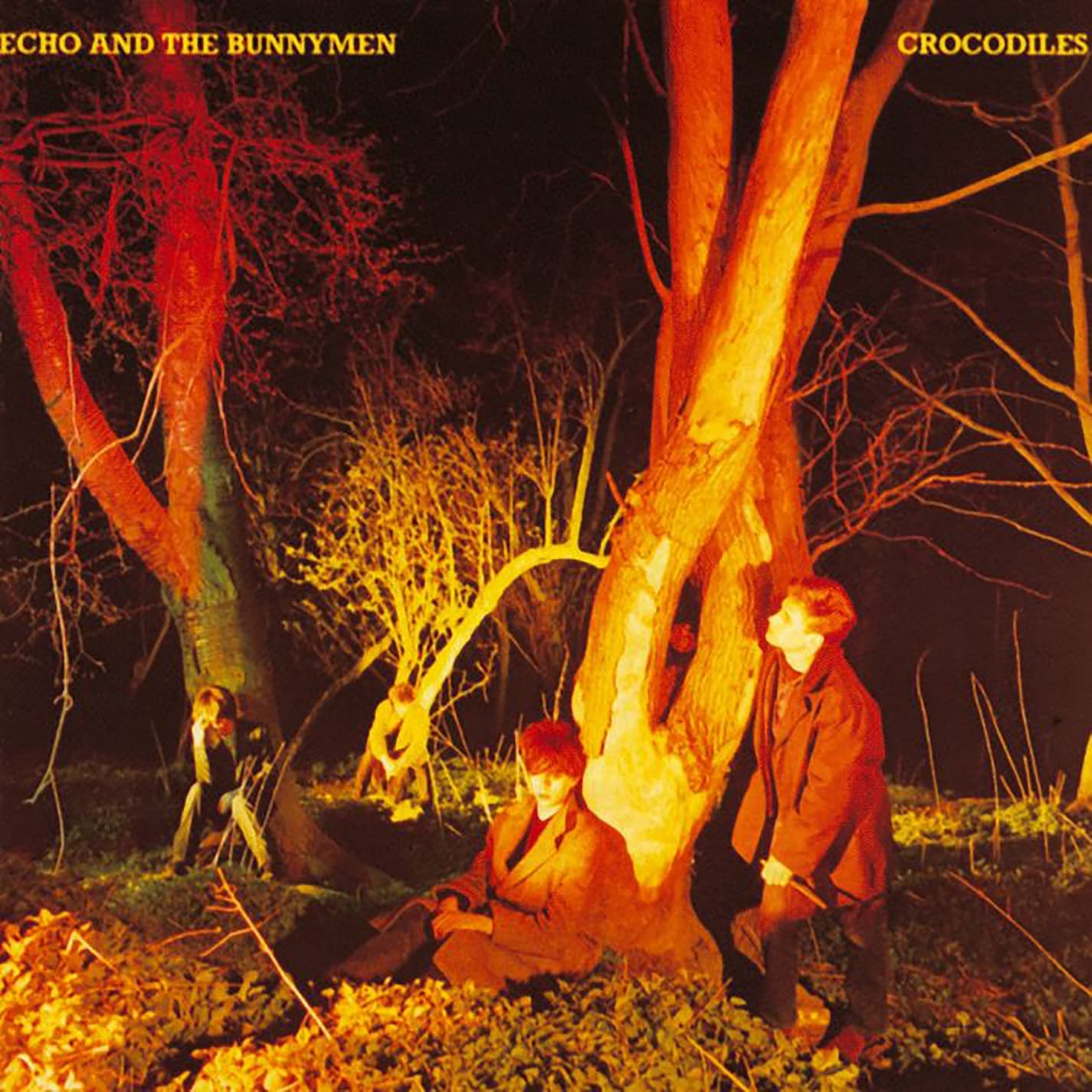 LP - Echo And The Bunnymen - Crocodiles