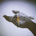 LP - Gregory Alan Isakov - With The Colorado Symphony