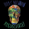 2LP - Bill Callahan - Resuscitate