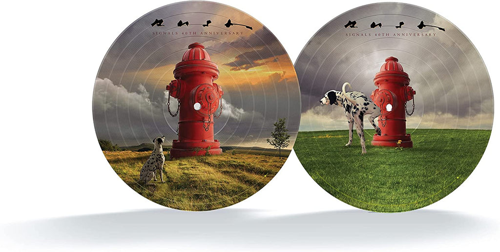 LP - Rush - Signals (40th)
