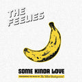 2LP - The Feelies - Some Kinda Love: Performing The Music Of The Velvet Underground