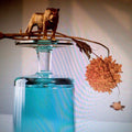 Beirut - Gallipoli - LP