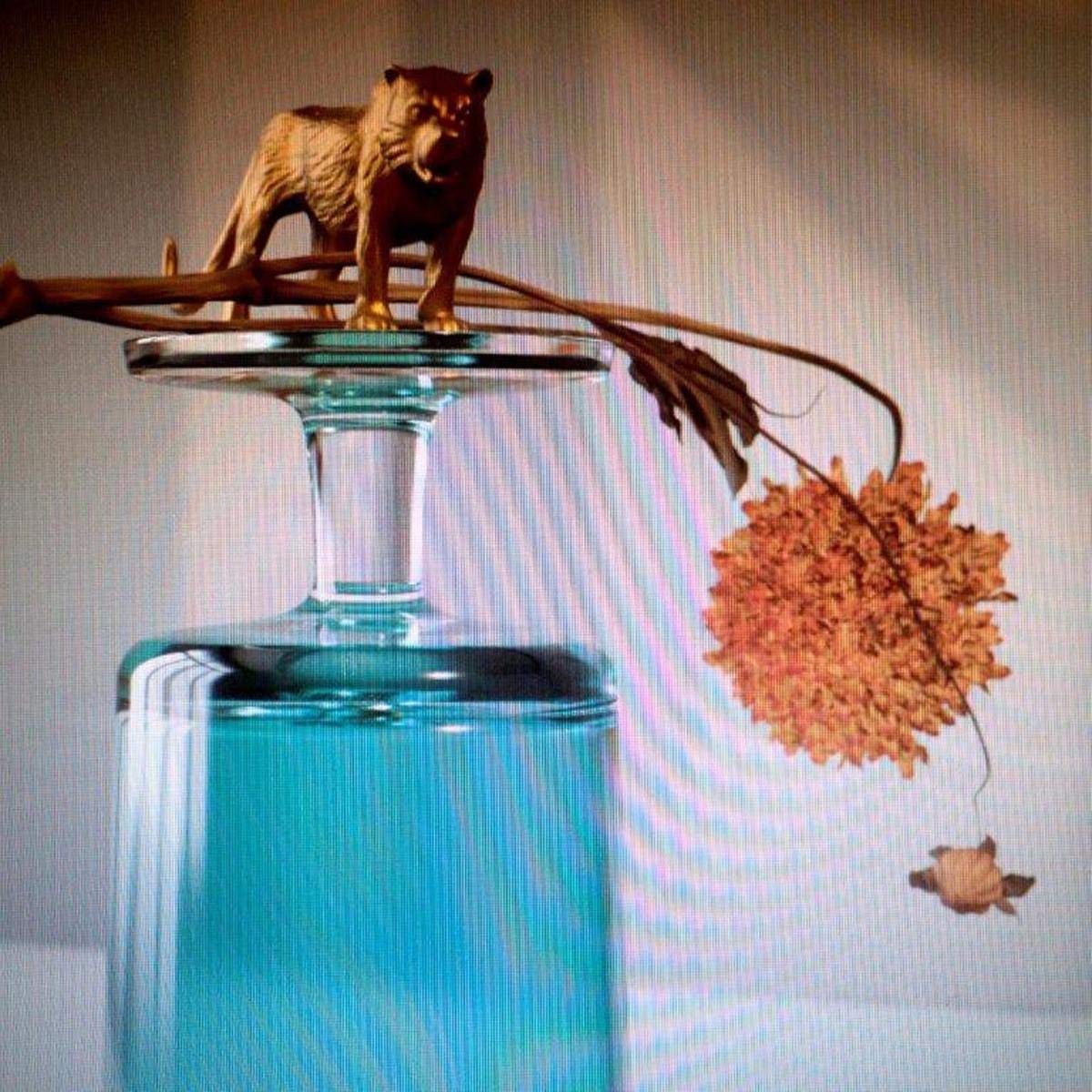 Beirut - Gallipoli - LP