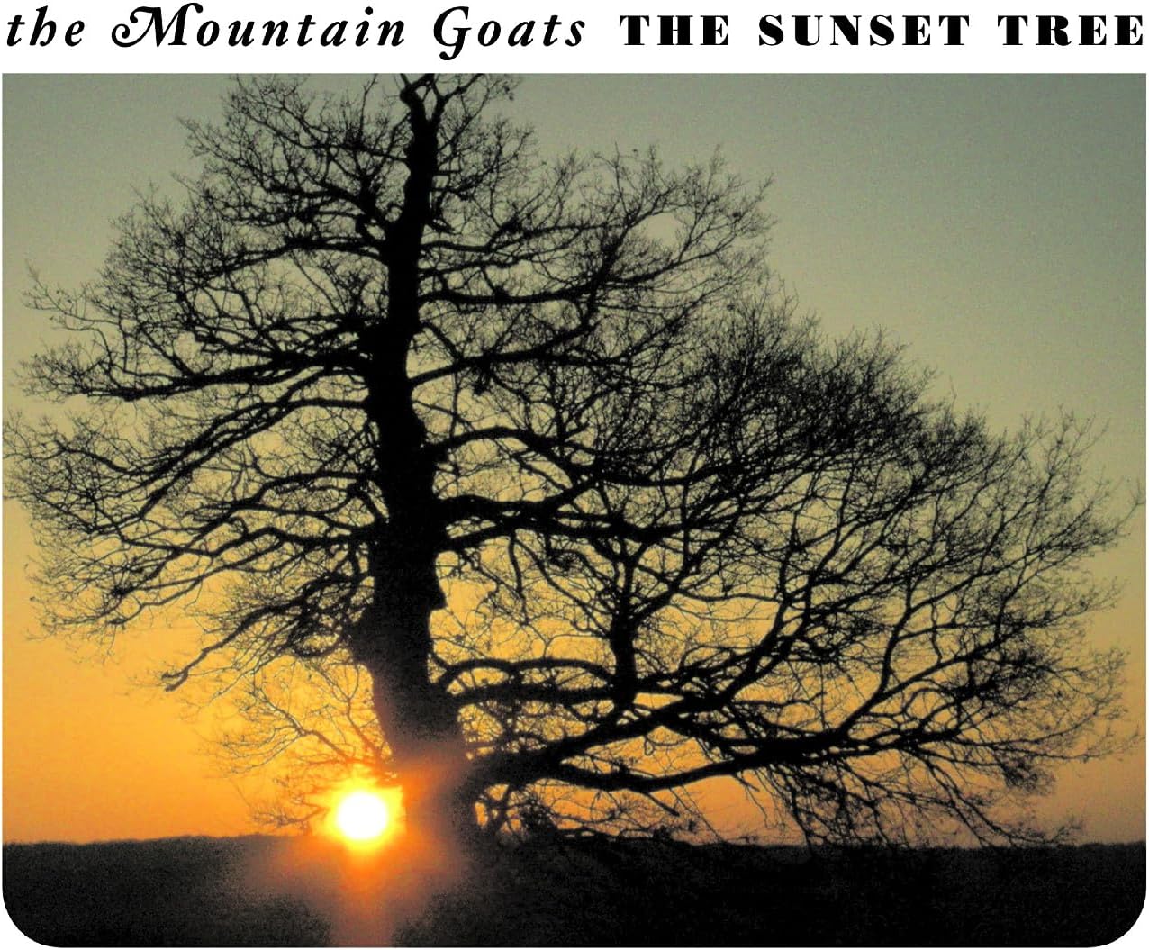 LP - The Mountain Goats - Sunset Tree (20th)