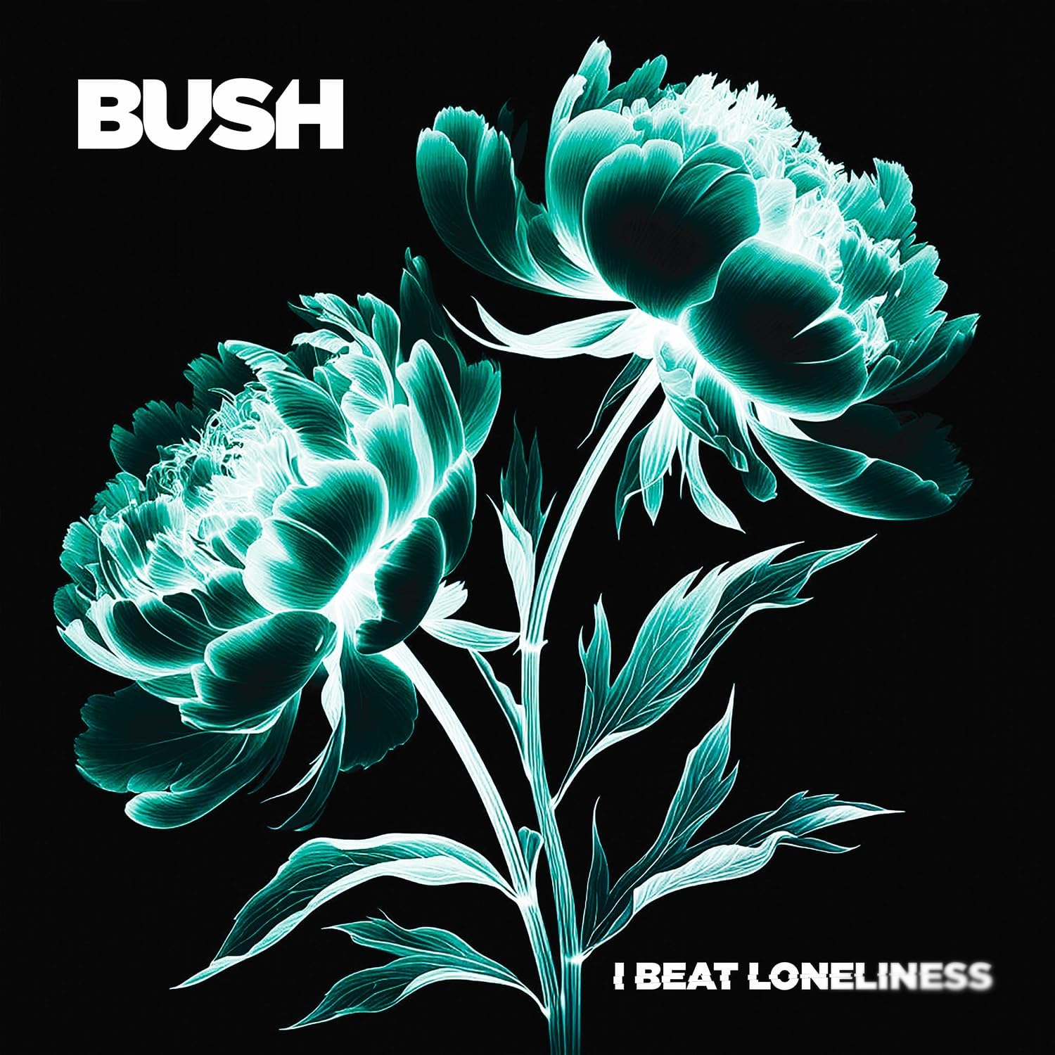 2LP - Bush - I Beat Loneliness