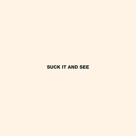Suck It And See