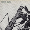 LP - Courtney Barnett - Creature of Habit