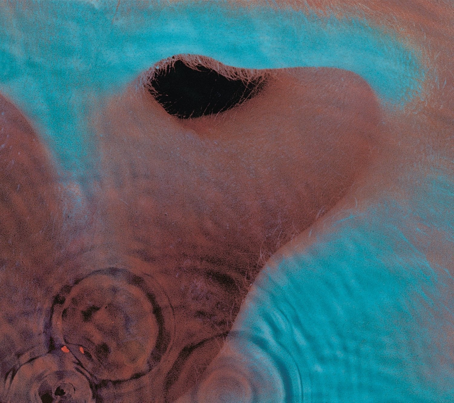 LP - Pink Floyd - Meddle