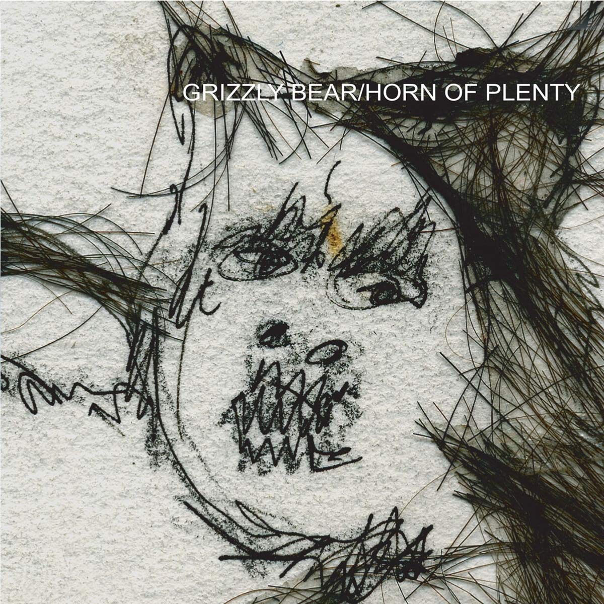 Grizzly Bear - Horn Of Plenty - LP