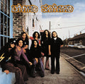 LP - Lynyrd Skynyrd - (Pronounced 'Lĕh-'nérd 'Skin-'nérd)