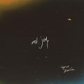 LP - Mt. Joy - Hope We Have Fun