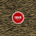 2LP - Isis - In The Absence Of Truth