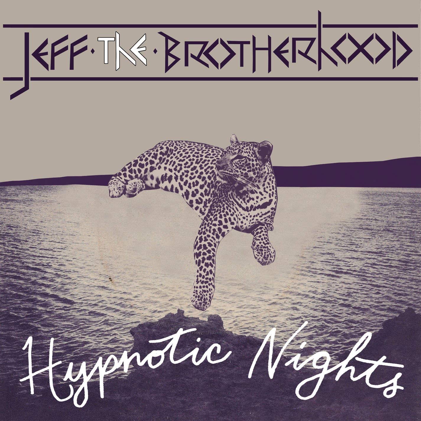 USED CD - Jeff The Brotherhood - Hypnotic Nights