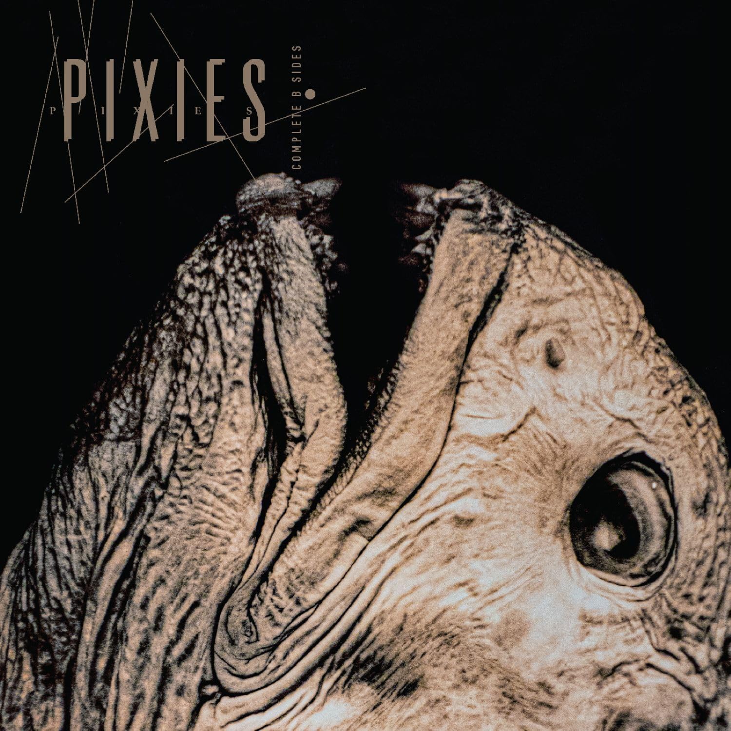 2LP - Pixies  - Complete B-Sides: 1988-97