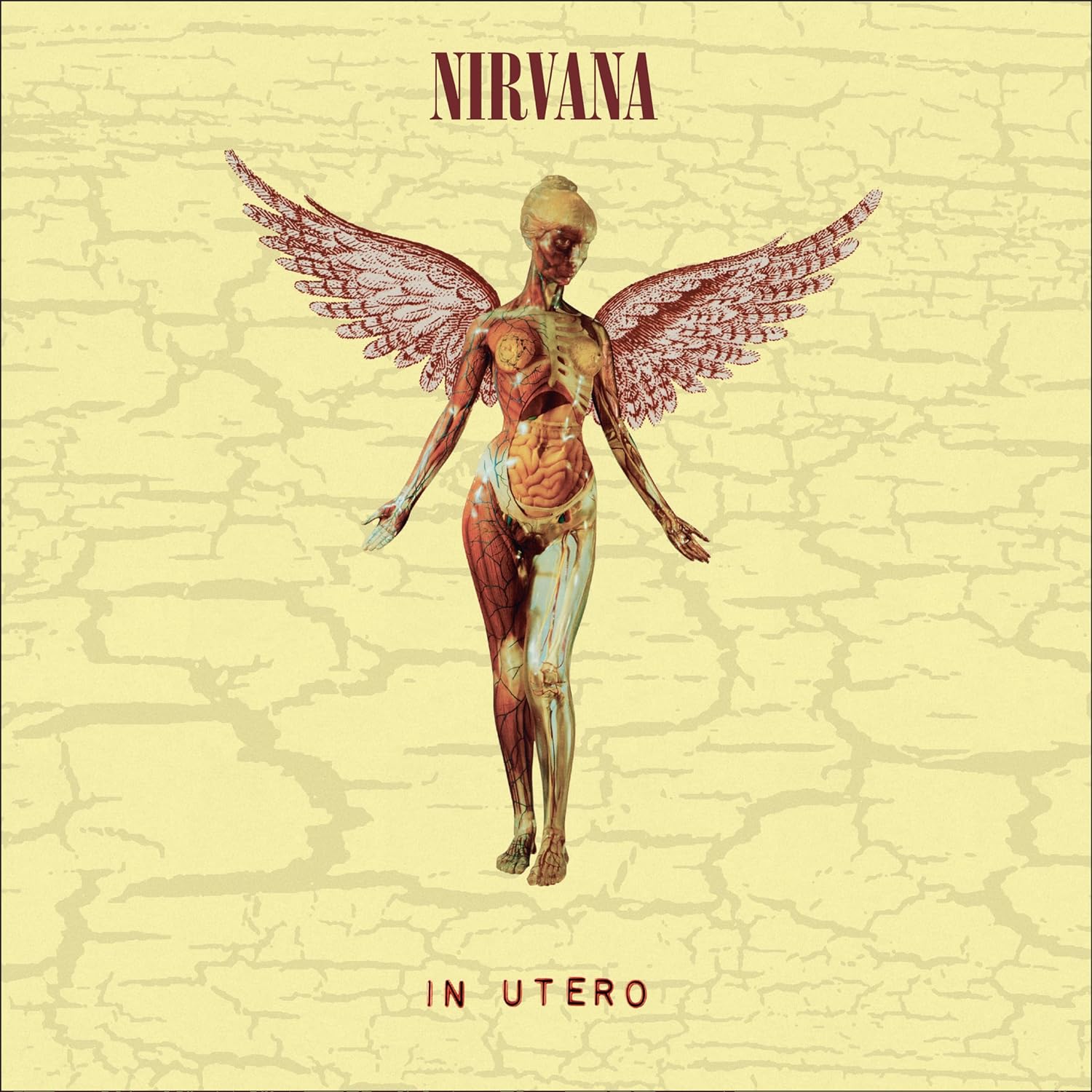 2LP - Nirvana - In Utero (30th)